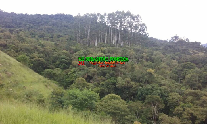 Imagem Chácara à Venda, 484.000 m² em São Francisco Xavier - São José Dos Campos Imagem Chácara à Venda, 484.000 m² em São Francisco Xavier - São José Dos Campos