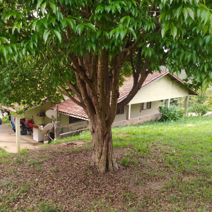 Imagem Fazenda à Venda, 1.000 m² em Vera Tereza - Caieiras Imagem Fazenda à Venda, 1.000 m² em Vera Tereza - Caieiras