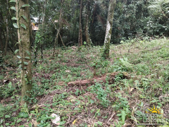 Imagem Terreno à Venda, 700 m² em Felix - Ubatuba Imagem Terreno à Venda, 700 m² em Felix - Ubatuba