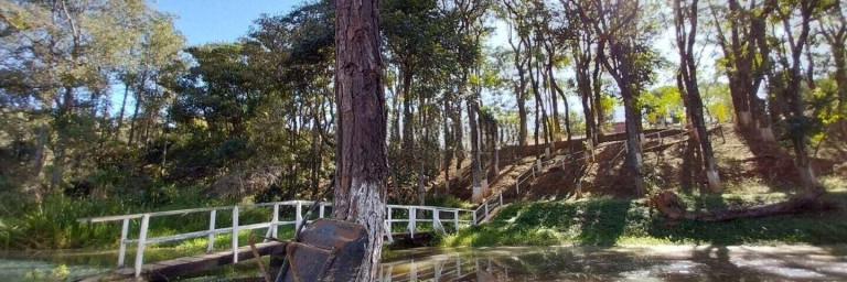 Imagem Chácara com 3 Quartos à Venda, 26.000 m² em Jardim Vista Alegre - Bragança Paulista Imagem Chácara com 3 Quartos à Venda, 26.000 m² em Jardim Vista Alegre - Bragança Paulista
