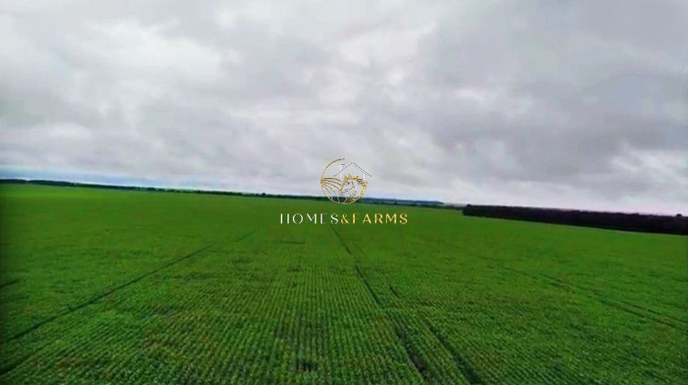 Imagem Imóvel com 3 Quartos à Venda, 90.000 m² em Jardim Primavera - Sinop Imagem Imóvel com 3 Quartos à Venda, 90.000 m² em Jardim Primavera - Sinop