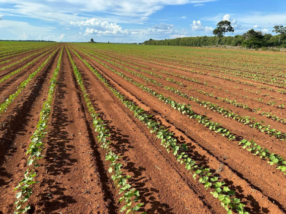 Imagem Fazenda à Venda, 9.700 m² em Rural - Pontes E Lacerda Imagem Fazenda à Venda, 9.700 m² em Rural - Pontes E Lacerda