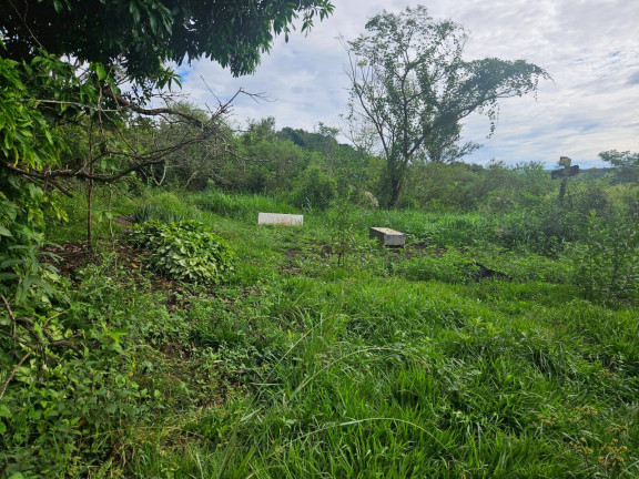 Imagem Chácara à Venda, 2 m² em Arapongas Imagem Chácara à Venda, 2 m² em Arapongas