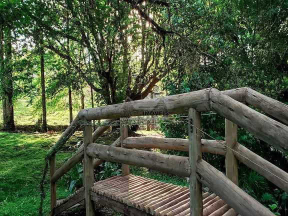 Imagem Terreno em Condomínio à Venda, 1 m² em Alto Capivari - Campos Do Jordão Imagem Terreno em Condomínio à Venda, 1 m² em Alto Capivari - Campos Do Jordão