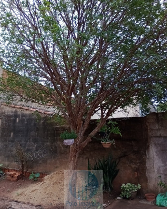 Imagem Casa com 3 Quartos à Venda, 280 m² em Vila Tamandaré - Ribeirão Preto
