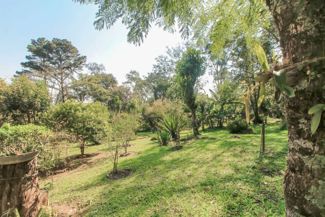 Imagem Casa com 4 Quartos à Venda, 200 m² em Vila Nova - Porto Alegre