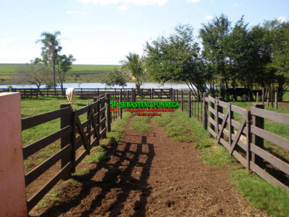 Imagem Fazenda à Venda, 580 m² em área Rural De Avaré - Avaré Imagem Fazenda à Venda, 580 m² em área Rural De Avaré - Avaré