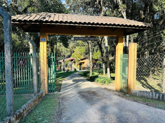 Chácara com 3 Quartos à Venda, 6.448 m² em Borda Do Campo - Piraquara