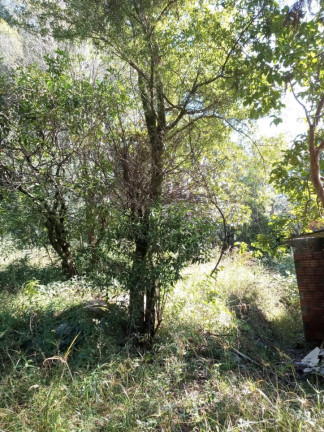 Imagem Chácara com 2 Quartos à Venda, 80 m² em Zona Rural - Silveira Martins Imagem Chácara com 2 Quartos à Venda, 80 m² em Zona Rural - Silveira Martins