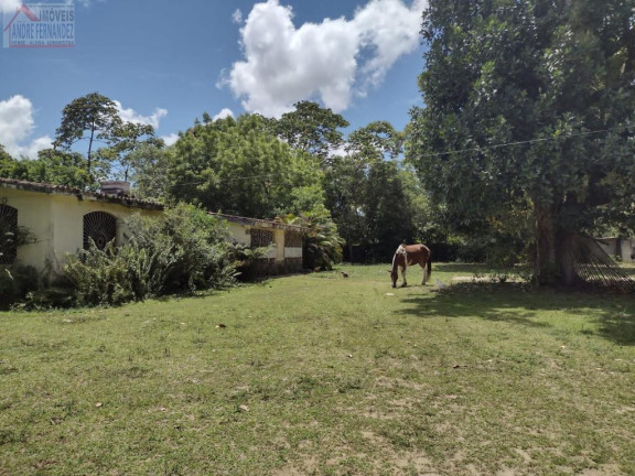 Imagem Imóvel com 4 Quartos à Venda, 450 m² em Monjope - Igarassu Imagem Imóvel com 4 Quartos à Venda, 450 m² em Monjope - Igarassu