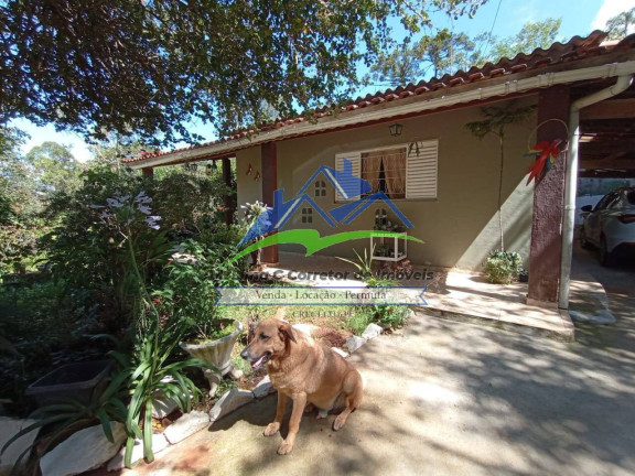 Imagem Chácara com 2 Quartos à Venda, 2.070 m² em Terra Preta - Mairiporã