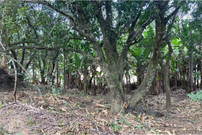 Imagem Imóvel com 2 Quartos à Venda, 2.733 m² em Quintas De Pirapora I - Salto De Pirapora Imagem Imóvel com 2 Quartos à Venda, 2.733 m² em Quintas De Pirapora I - Salto De Pirapora