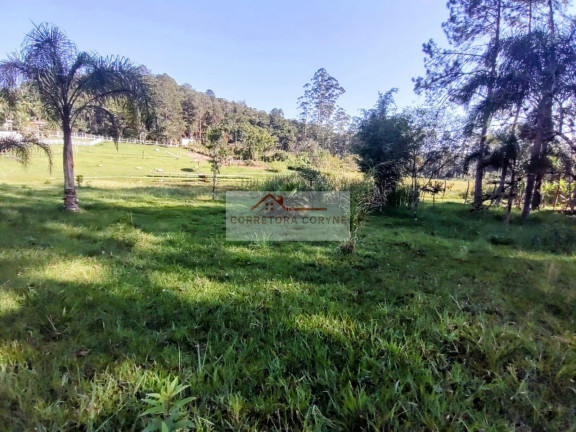 Imagem Imóvel com 5 Quartos à Venda, 5.875 m² em Palmeiras - Juquitiba Imagem Imóvel com 5 Quartos à Venda, 5.875 m² em Palmeiras - Juquitiba