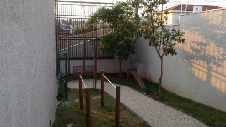 Imagem Apartamento com 3 Quartos à Venda, 67 m² em Tucuruvi - São Paulo Imagem Apartamento com 3 Quartos à Venda, 67 m² em Tucuruvi - São Paulo
