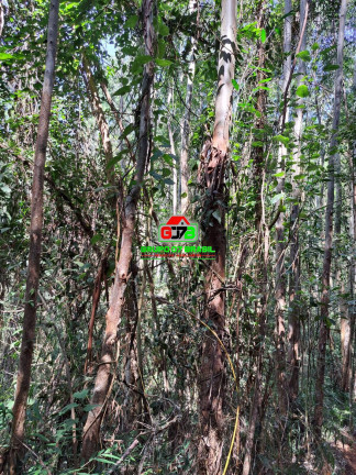 Imagem Chácara à Venda, 123 m² em Centro - Atibaia Imagem Chácara à Venda, 123 m² em Centro - Atibaia