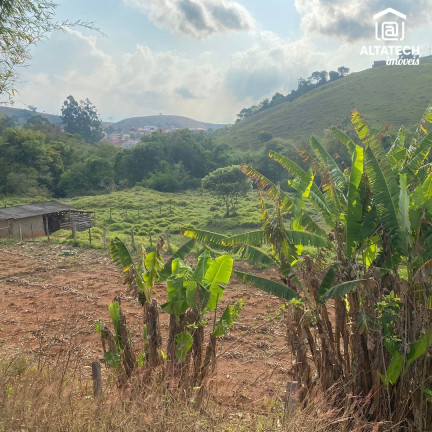 Imagem Imóvel à Venda, 14.000 m² em Zona Rural - Bandeira Do Sul Imagem Imóvel à Venda, 14.000 m² em Zona Rural - Bandeira Do Sul