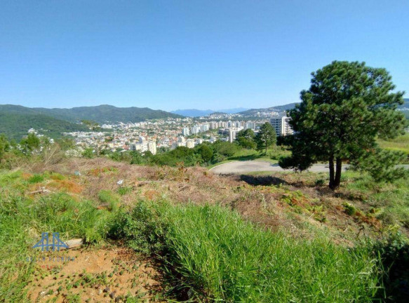 Terreno à Venda, 525 m² em Itacorubi - Florianópolis