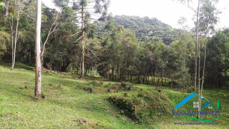 Imagem Terreno à Venda, 10.794 m² em Centro - Gonçalves Imagem Terreno à Venda, 10.794 m² em Centro - Gonçalves