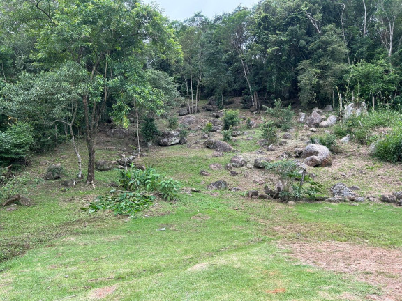 Imagem Terreno à Venda, 3.250 m² em Ribeirão - Paulo Lopes Imagem Terreno à Venda, 3.250 m² em Ribeirão - Paulo Lopes