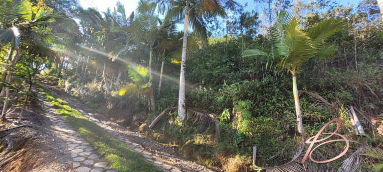 Imagem Imóvel com 2 Quartos à Venda, 40.000 m² em Ilhota - Ilhota