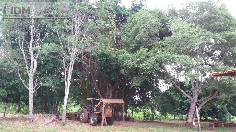 Imagem Chácara à Venda, 6.660.000 m² em Centro - Cristalândia Imagem Chácara à Venda, 6.660.000 m² em Centro - Cristalândia
