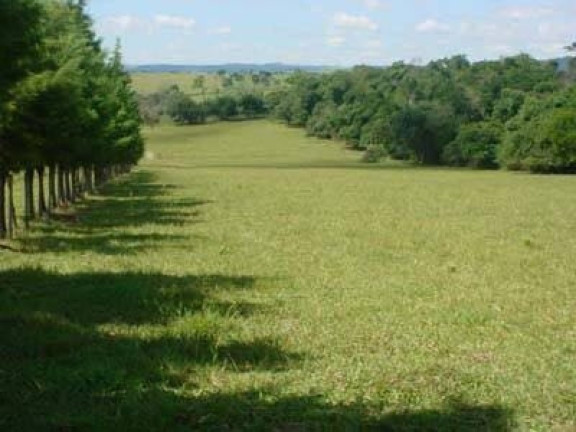Imagem Chácara com 3 Quartos à Venda, 42.000 m² em Rural - Piratininga