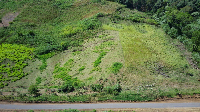 Terreno à Venda, 3.500 m² em Arvoredo - Concórdia