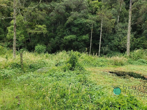 Imagem Imóvel com 3 Quartos à Venda, 350.000 m² em Zona Rural - Bom Retiro