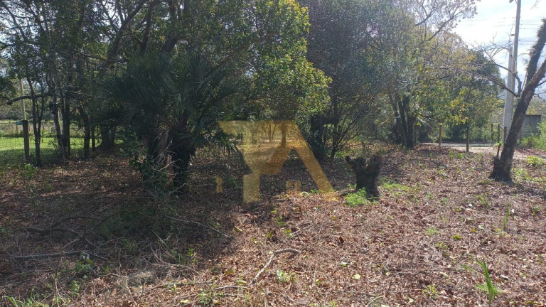 Terreno à Venda,  em Alto Arroio - Imbituba