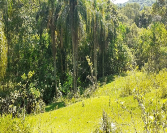 Imagem Imóvel com 1 Quarto à Venda,  em Vila Rica - Presidente Lucena