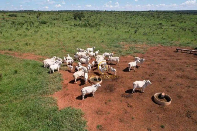Imagem Fazenda à Venda, 11.340.000 m² em Zona Rural - Campo Grande Imagem Fazenda à Venda, 11.340.000 m² em Zona Rural - Campo Grande