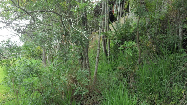 Imagem Terreno à Venda,  em Antes Do Centro - Ibiúna