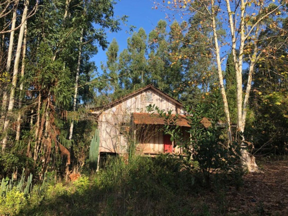 Imagem Terreno à Venda, 3 m² em Rua São José Do Cai - Nova Petrópolis Imagem Terreno à Venda, 3 m² em Rua São José Do Cai - Nova Petrópolis
