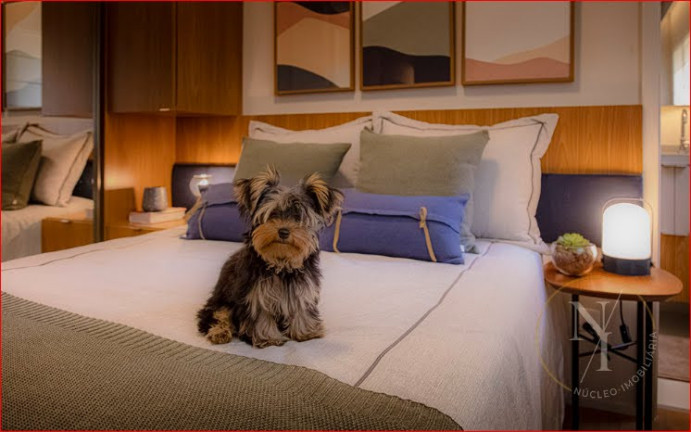 Imagem Apartamento com 3 Quartos à Venda, 75 m² em Ipiranga - São Paulo Imagem Apartamento com 3 Quartos à Venda, 75 m² em Ipiranga - São Paulo