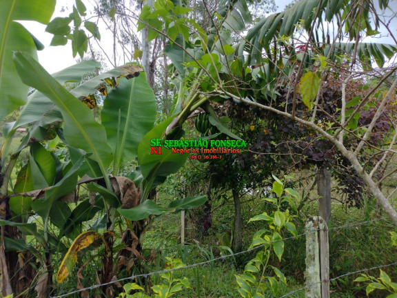 Imagem Chácara à Venda, 4.600 m² em São João - São José Dos Campos Imagem Chácara à Venda, 4.600 m² em São João - São José Dos Campos