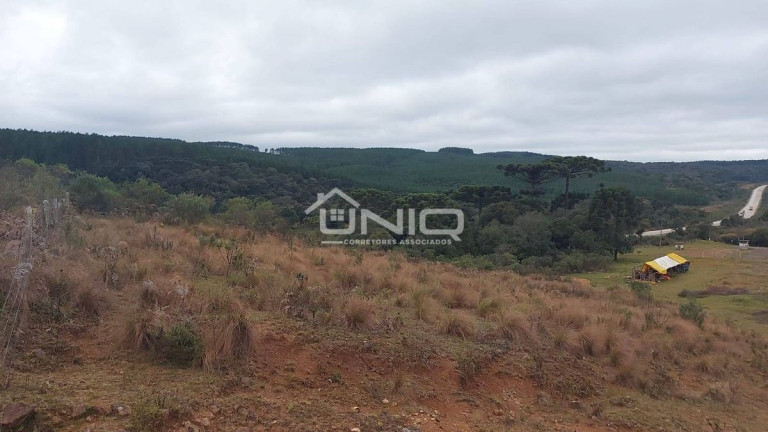 Imagem Fazenda à Venda, em Palmas Imagem Fazenda à Venda, em Palmas