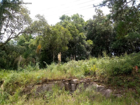 Terreno à Venda, 500 m² em Pousada Da Neve - Nova Petrópolis