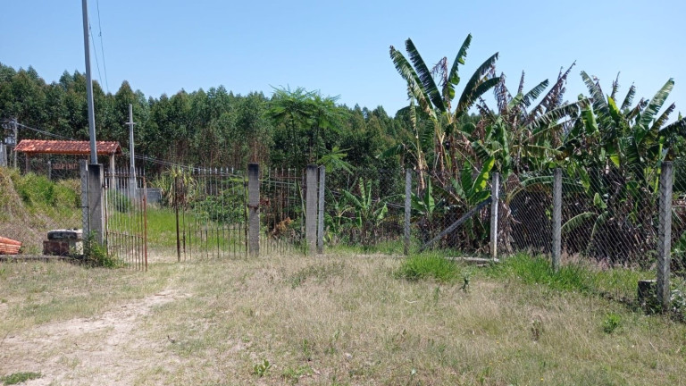 Imagem Chácara com 2 Quartos à Venda, 100 m² em Centro - Santa Branca Imagem Chácara com 2 Quartos à Venda, 100 m² em Centro - Santa Branca