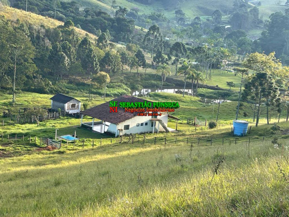 Imagem Chácara à Venda, 19 m² em área Rural De Aparecida - Aparecida Imagem Chácara à Venda, 19 m² em área Rural De Aparecida - Aparecida