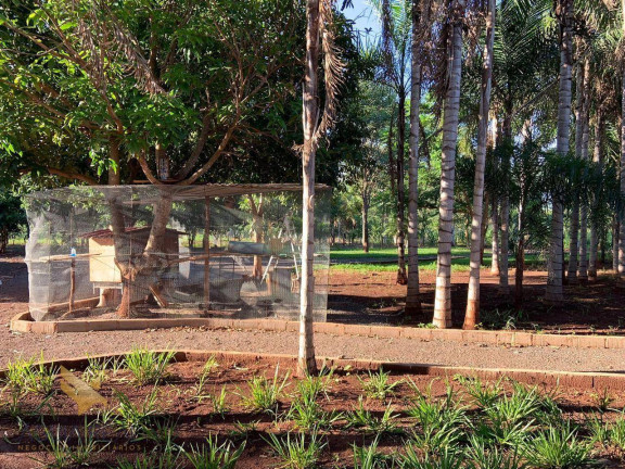 Imagem Chácara com 4 Quartos à Venda, 70.000 m² em Parque Fazenda Imbirussu - Campo Grande Imagem Chácara com 4 Quartos à Venda, 70.000 m² em Parque Fazenda Imbirussu - Campo Grande