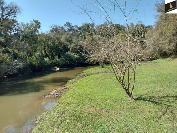 Imagem Imóvel com 5 Quartos à Venda, 30.000 m² em Margens Ro Da Varzea - Quitandinha