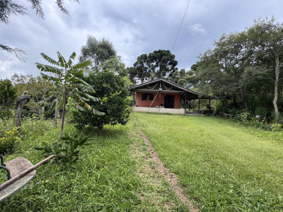 Imagem Imóvel à Venda, 5.500 m² em Rio Da Várzea - Quitandinha Imagem Imóvel à Venda, 5.500 m² em Rio Da Várzea - Quitandinha