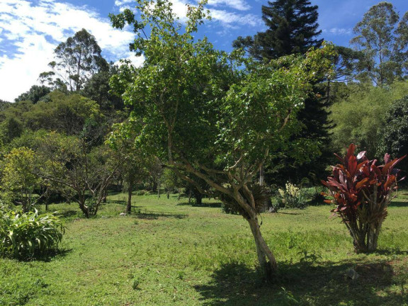 Imagem Terreno à Venda, 281 m² em Córrego D'antas - Nova Friburgo