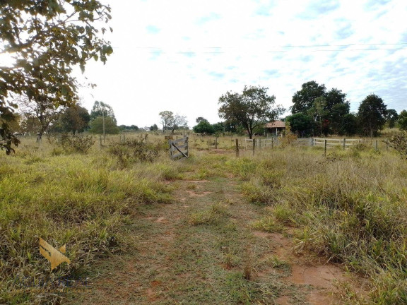 Imagem Chácara à Venda, 44.548 m² em Zona Rural - Ribas Do Rio Pardo Imagem Chácara à Venda, 44.548 m² em Zona Rural - Ribas Do Rio Pardo