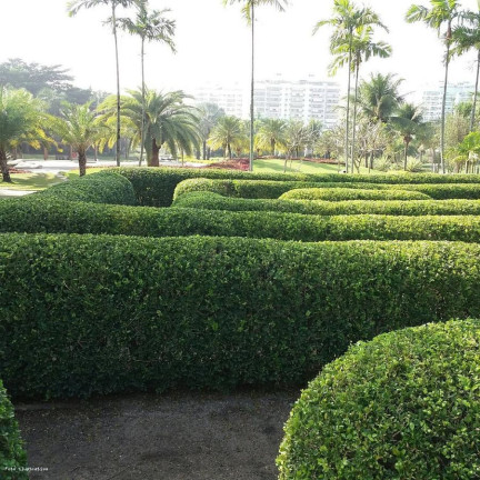 Imagem Apartamento com 3 Quartos à Venda, 100 m² em Barra Da Tijuca - Rio De Janeiro