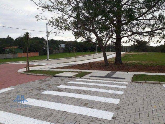 Imagem Terreno à Venda, 493 m² em São João Do Rio Vermelho - Florianópolis Imagem Terreno à Venda, 493 m² em São João Do Rio Vermelho - Florianópolis