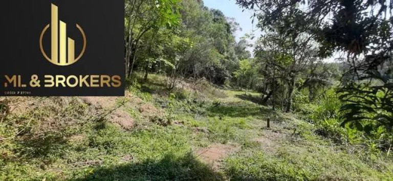 Imagem Terreno à Venda, 12.300 m² em Barro Preto - São José Dos Pinhais