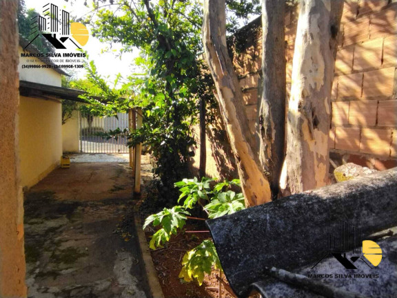 Imagem Casa com 3 Quartos à Venda, 300 m² em Segismundo Pereira - Uberlândia
