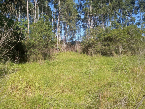 Imagem Chácara à Venda, 29.000 m² em Pimenta - Viamão Imagem Chácara à Venda, 29.000 m² em Pimenta - Viamão