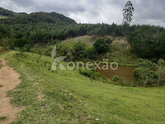 Imagem Fazenda à Venda, 600 m² em Cedro - Paraibuna Imagem Fazenda à Venda, 600 m² em Cedro - Paraibuna